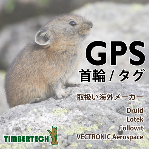 株式会社ティンバーテック