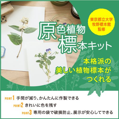 株式会社日本ヴォーグ社